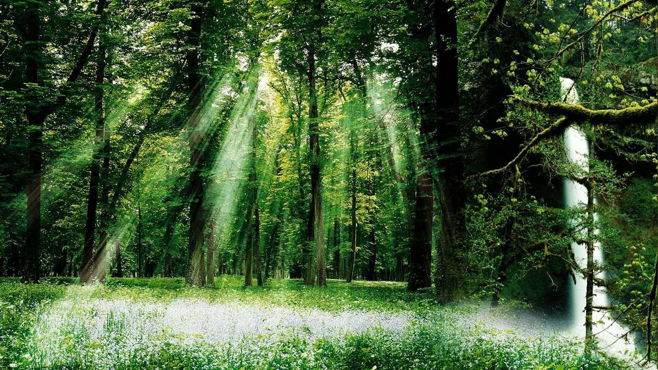 

Картина на холсте 60x110 LinxOne "Природа, пейзаж, натура, флора
