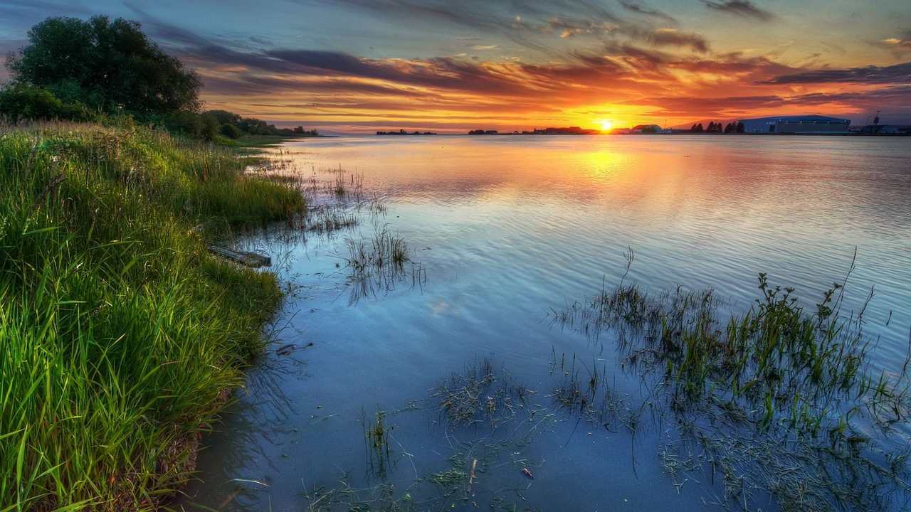 

Картина на холсте 60x110 LinxOne "Природа, пейзаж, натура, флора