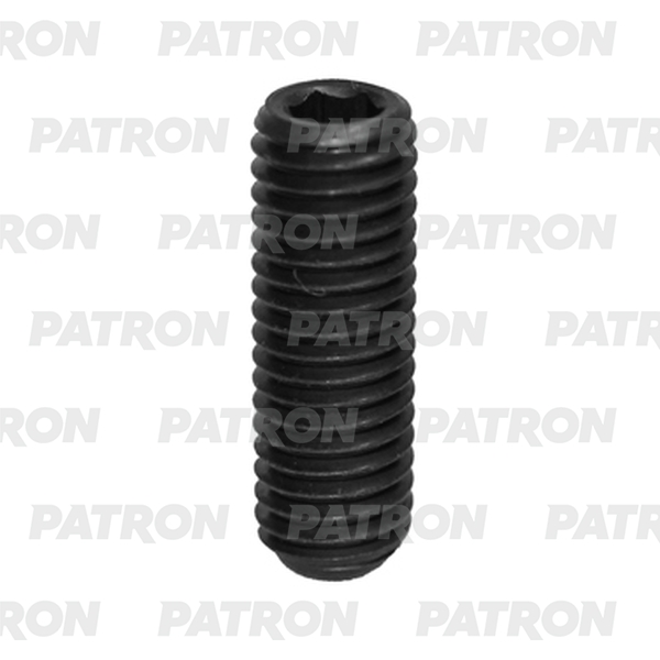 PATRON P37-3177T Болт металлический M4X25 10шт 264₽