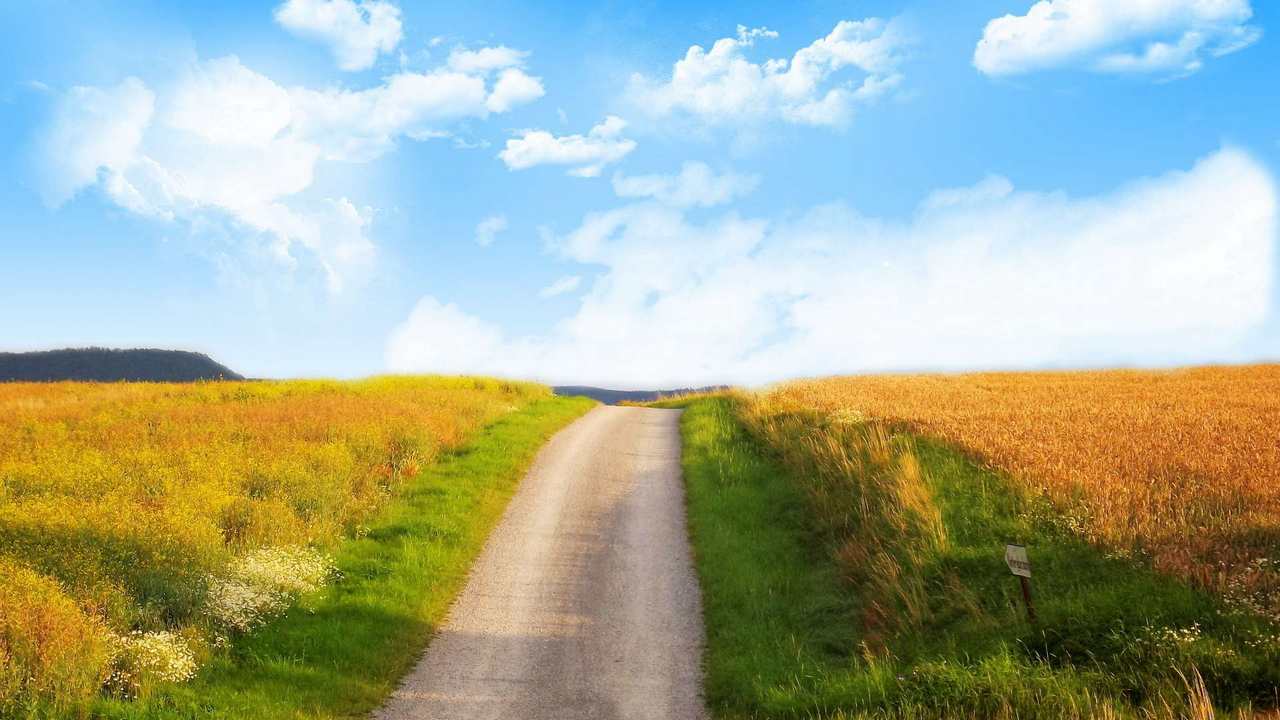

Картина на холсте 60x110 LinxOne "Природа, пейзаж, натура, флора