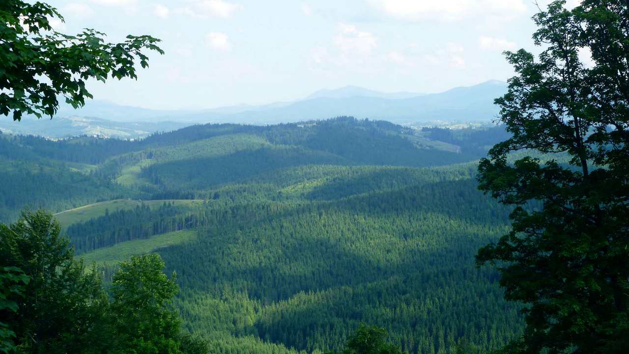

Картина на холсте 60x110 LinxOne "Природа, пейзаж, натура, флора