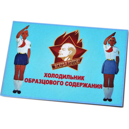 

Магнит Холодильник образцового содержания