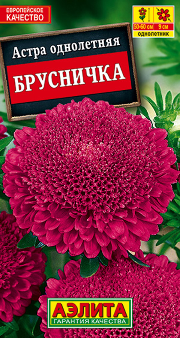

Семена астра Аэлита Брусничка 00-00580187 1 уп.