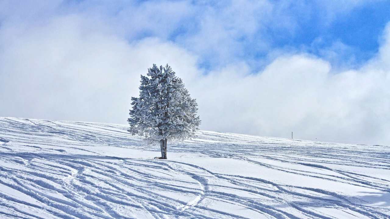 

Картина на холсте 60x110 LinxOne "Природа, пейзаж, натура, флора