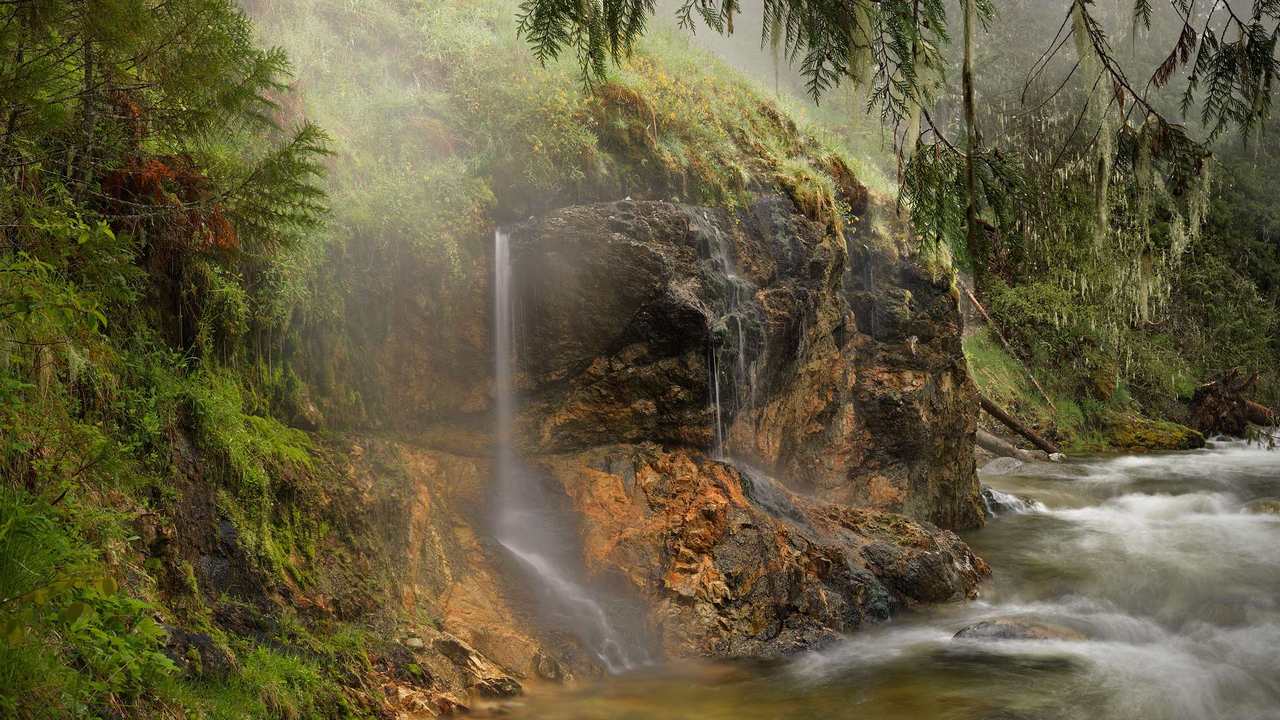 

Картина на холсте 60x110 LinxOne "Природа, пейзаж, натура, флора