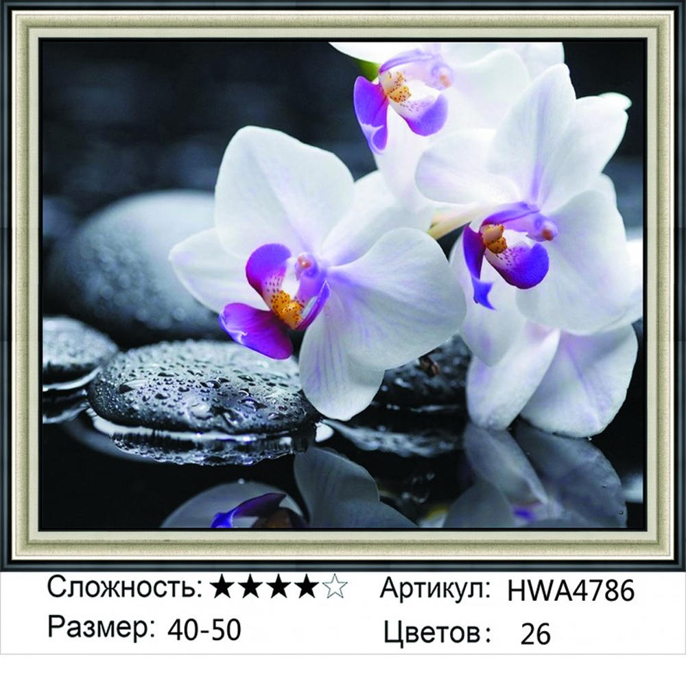 

Алмазная мозаика Орхидеи HWA4786, на подрамнике 40х50см, Орхидеи