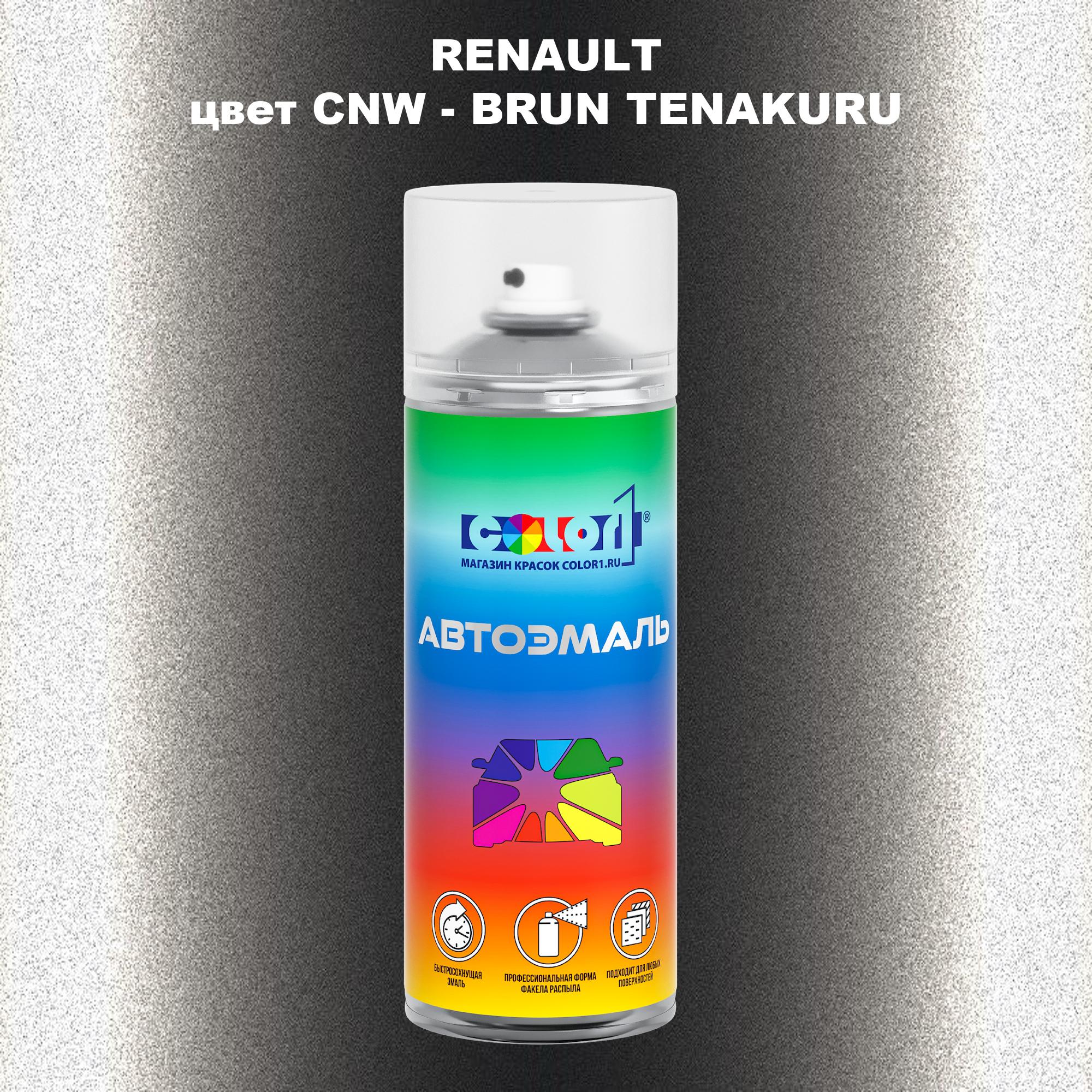 

Аэрозольная краска COLOR1 для RENAULT, цвет CNW - BRUN TENAKURU, Прозрачный