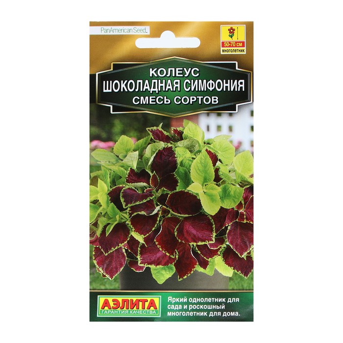 

Семена Цветов Колеус Шоколадная симфония, смесь сортов, пробирка 3 шт