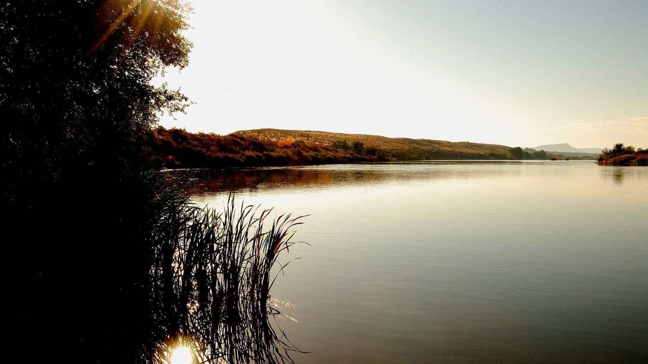 

Картина на холсте 60x110 LinxOne "Природа, пейзаж, натура, флора