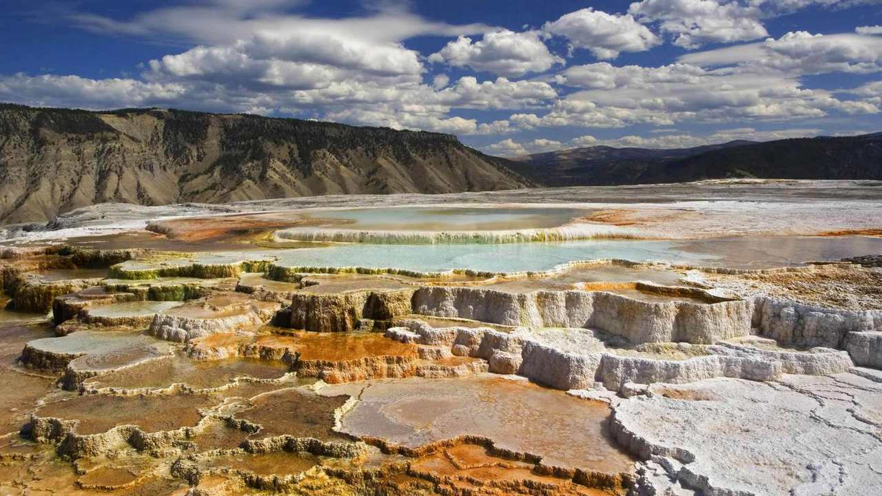 

Картина на холсте 60x110 LinxOne "Природа, пейзаж, натура, флора