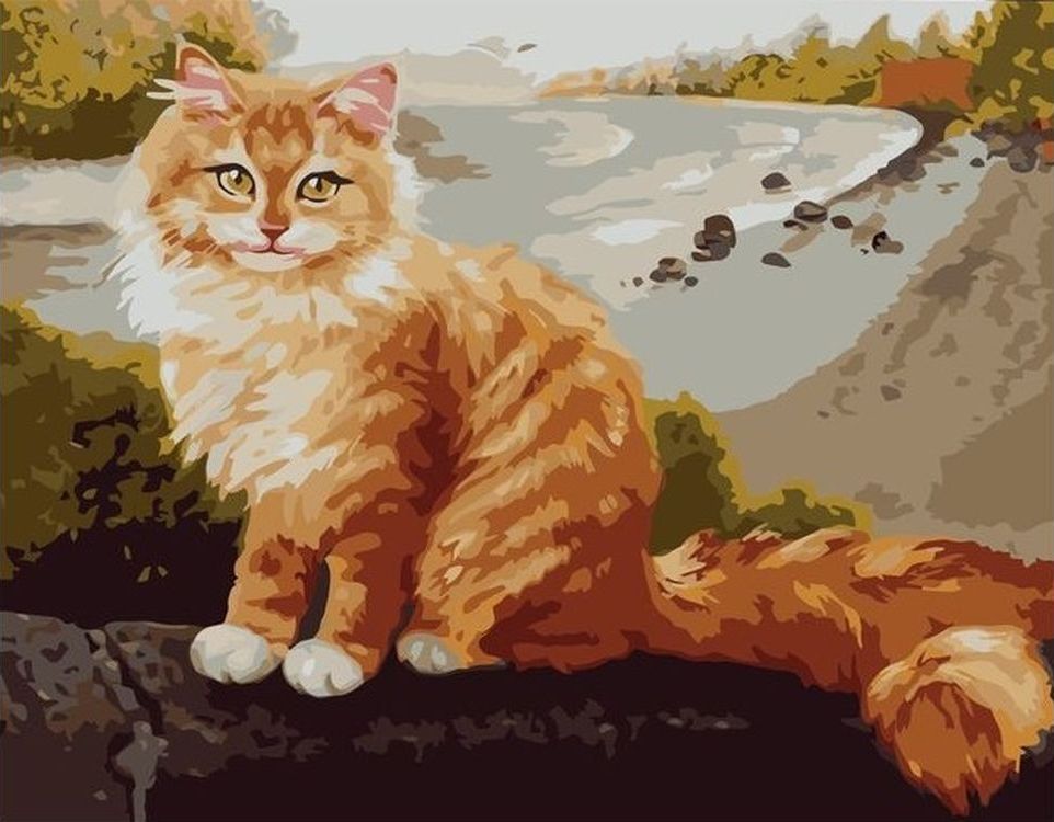 

Живопись по номерам Paintboy Рыжий кот 40x50, Рыжий кот