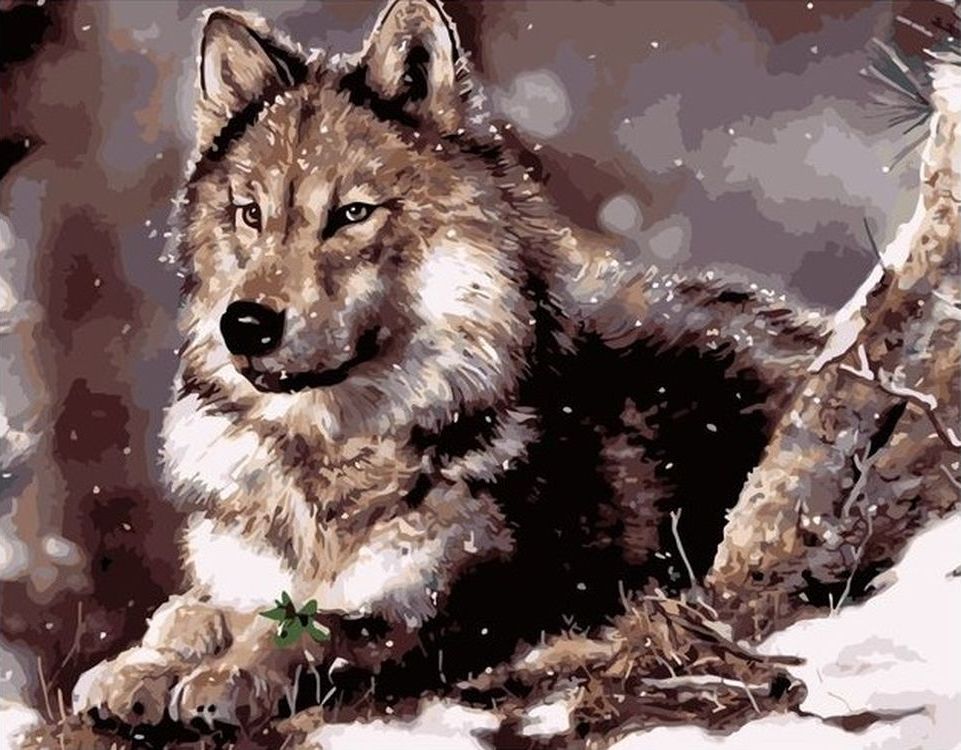 

Живопись по номерам Paintboy Волк зимой 40x50, Волк зимой