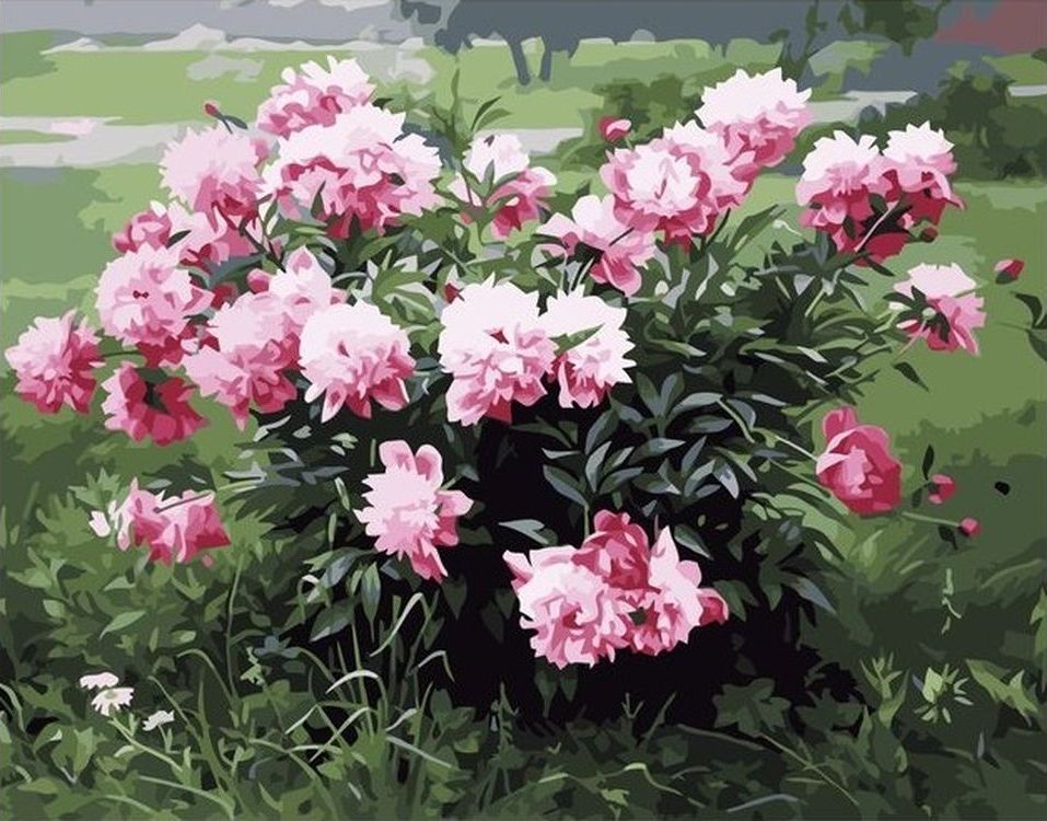 

Живопись по номерам Paintboy Цветочный куст 40x50, Цветочный куст