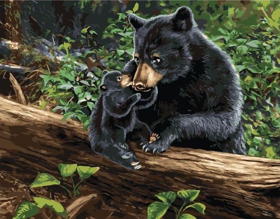 

Живопись по номерам Paintboy Медведица с медвежонком 40x50, Медведица с медвежонком