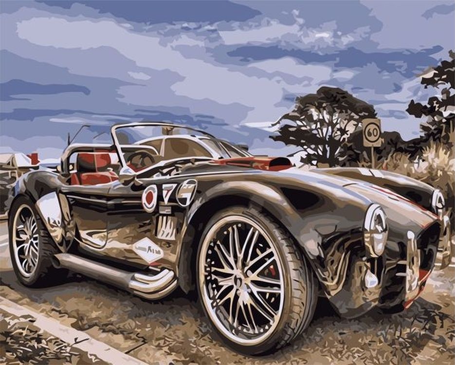 

Живопись по номерам Paintboy Гоночный автомобиль 40x50, Гоночный автомобиль