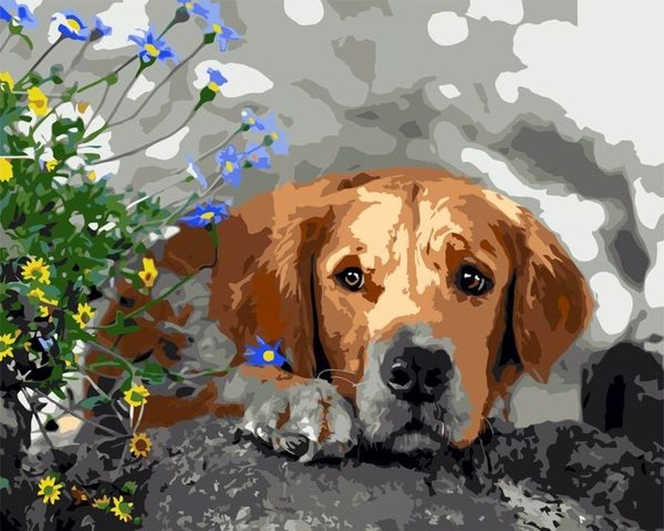 

Живопись по номерам Paintboy Задумчивый пёс 40x50, Задумчивый пёс