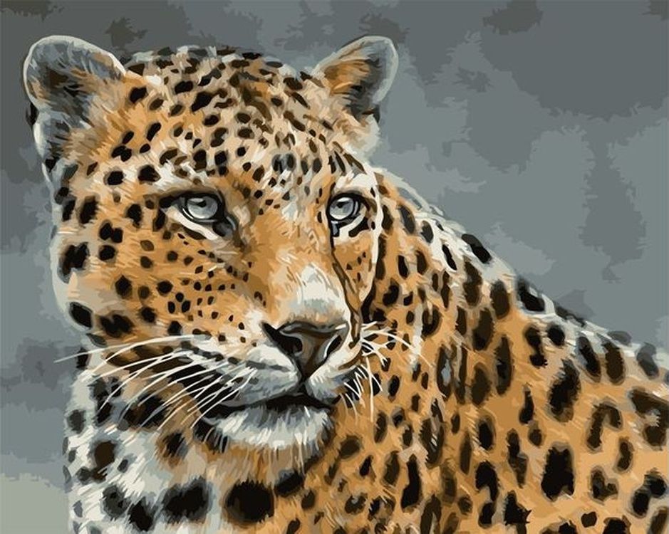 

Живопись по номерам Paintboy Красивый леопард 40x50, Красивый леопард