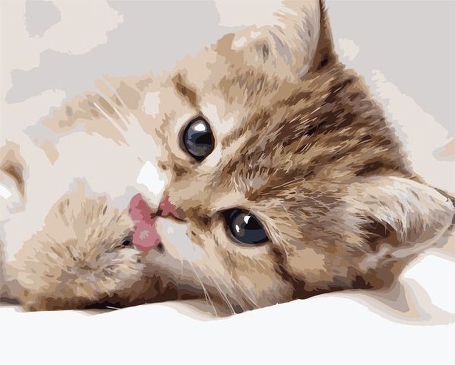 

Живопись по номерам Paintboy Милый котёнок 40x50, Милый котёнок
