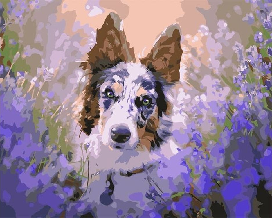 

Живопись по номерам Paintboy Пёс в цветах 40x50, Пёс в цветах