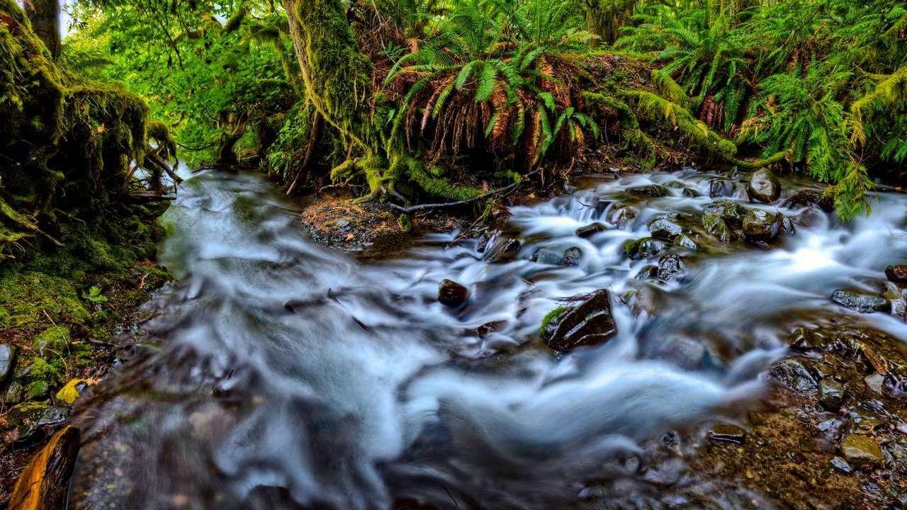 

Картина на холсте 60x110 LinxOne "Природа, пейзаж, натура, флора