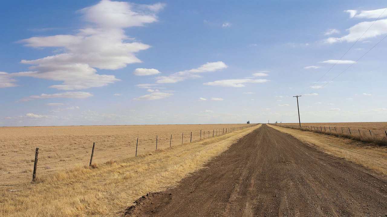 

Картина на холсте 60x110 LinxOne "Природа, пейзаж, натура, флора