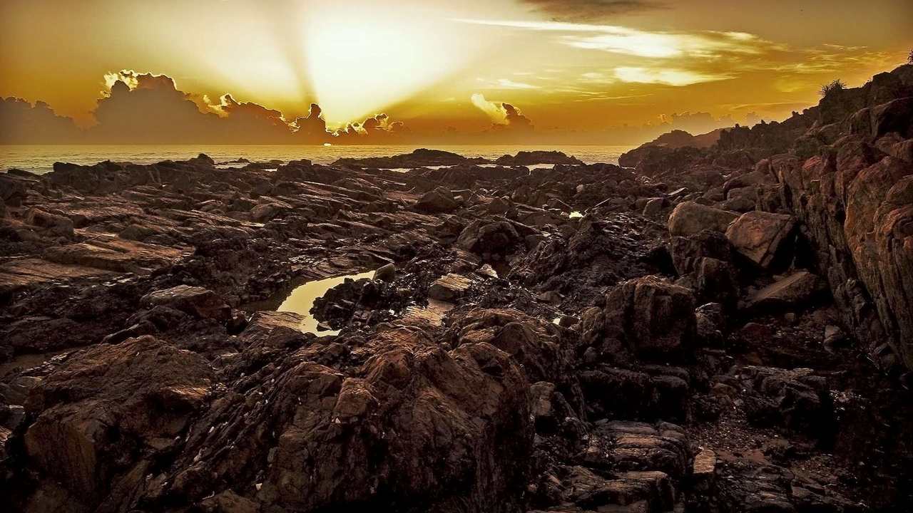 

Картина на холсте 60x110 LinxOne "Природа, пейзаж, натура, флора