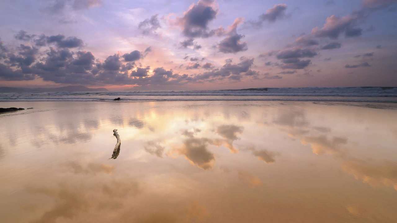 

Картина на холсте 60x110 LinxOne "Природа, пейзаж, натура, флора