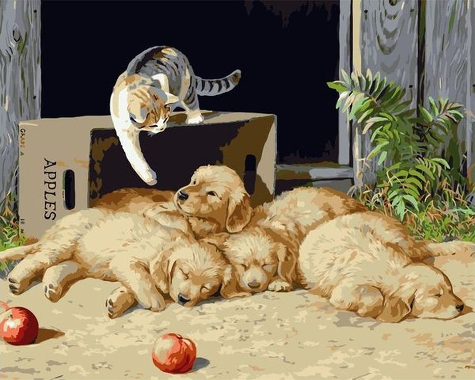 

Живопись по номерам Paintboy Щенята и кошка 40x50, Щенята и кошка