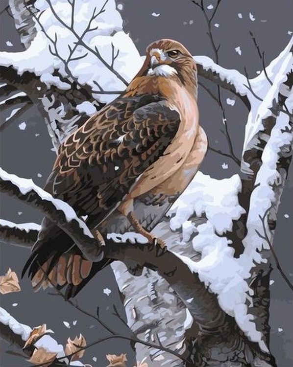 

Живопись по номерам Paintboy Сокол зимой 40x50, Сокол зимой