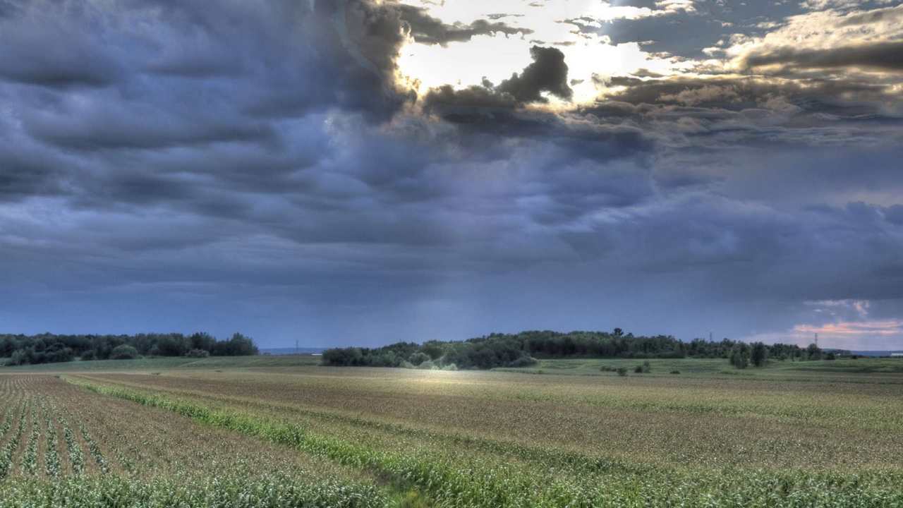 

Картина на холсте 60x110 LinxOne "Природа, пейзаж, натура, флора