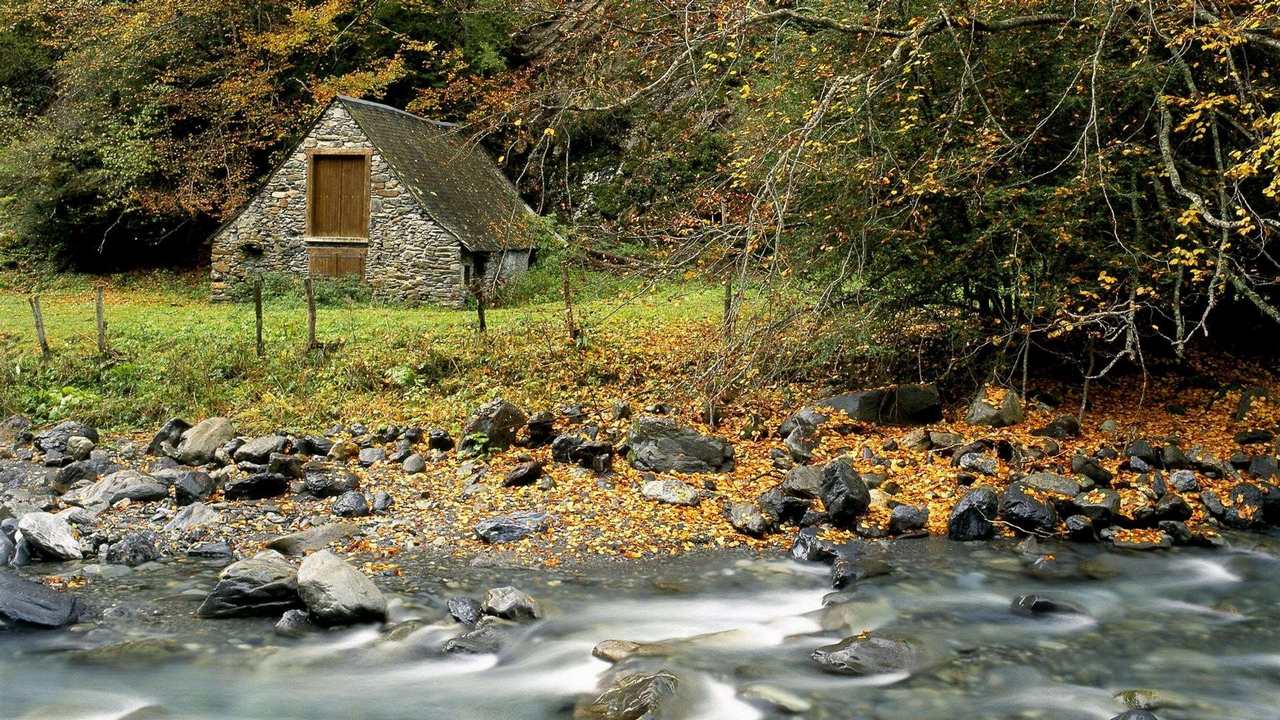 

Картина на холсте 60x110 LinxOne "Природа, пейзаж, натура, флора