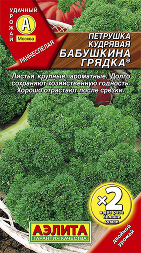 

Семена зелени и пряностей Аэлита Петрушка кудрявая Бабушкина грядка двойная граммовка 4 г