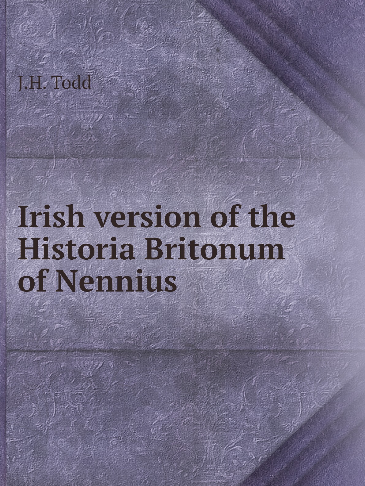 

Irish version of the Historia Britonum of Nennius