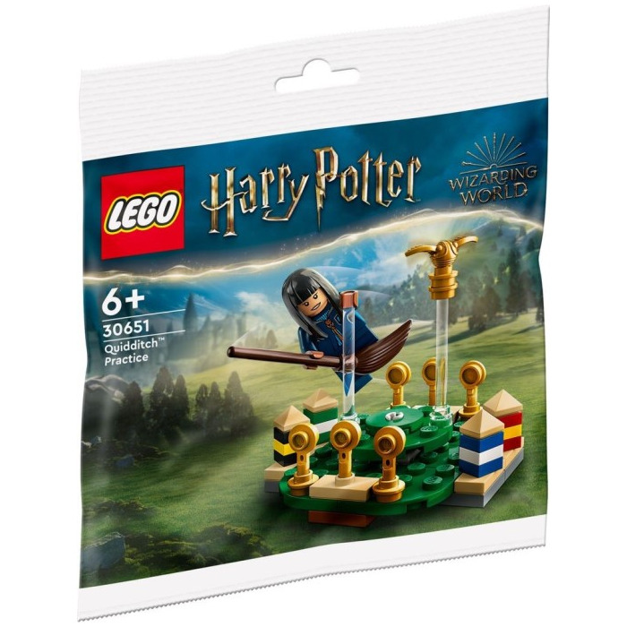 Конструктор LEGO Harry Potter 30651 Практика игры в Квиддич, 55 дет конструктор lego harry potter 30651 практика игры в квиддич 55 дет