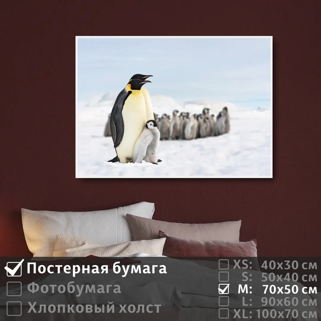 

Постер на стену ПолиЦентр Про семью пингвинов 70х50 см, ПроСемьюПингвинов