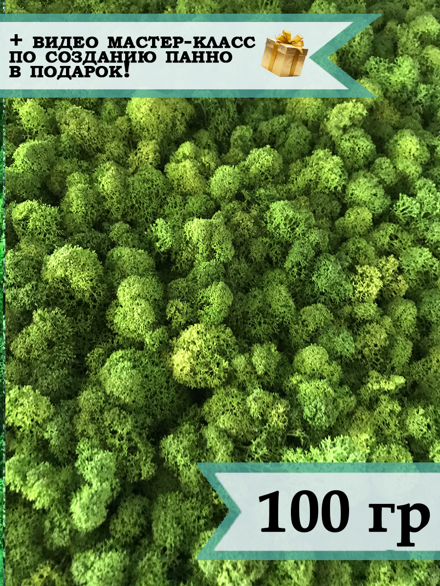 Мох Планета Флористики стабилизированный ягель 005/100, натуральный зеленый, 100 гр