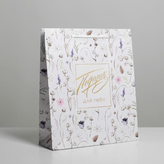 

Пакет Доступные Радости Gift for you 6582667, ML 23 х 27 х 8 см, Белый