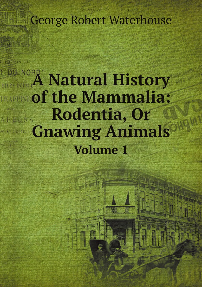 

A Natural History of the Mammalia: Rodentia, Or Gnawing Animals