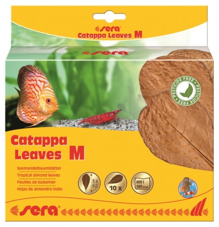 

Листья индийского миндаля Catappa Leaves M для аквариума, 18 см (10 шт), Catappa Leaves M