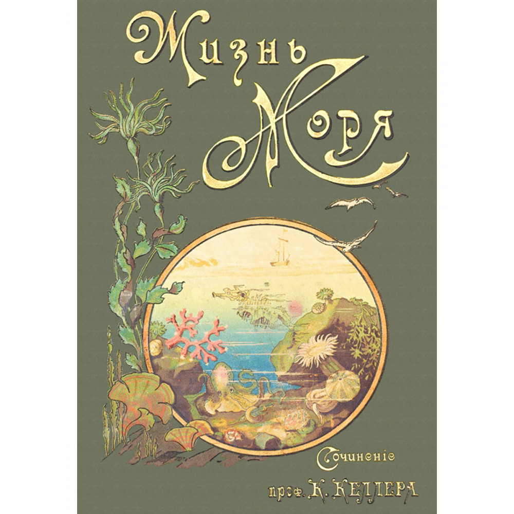 

Жизнь моря
