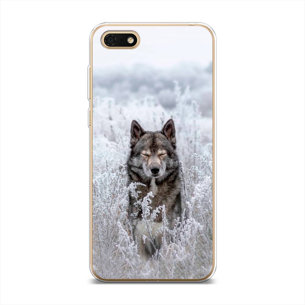 

Чехол Awog на Huawei Y5 Lite (2018) "Волк в поле", Разноцветный, 6105950-1