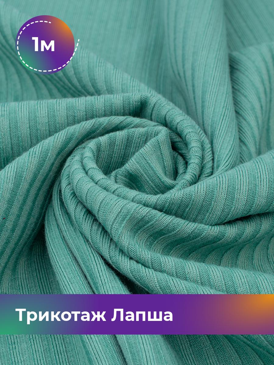 

Ткань Трикотаж Лапша Shilla, отрез 1 м * 150 см бирюзовый 1_22289.010, 18109686