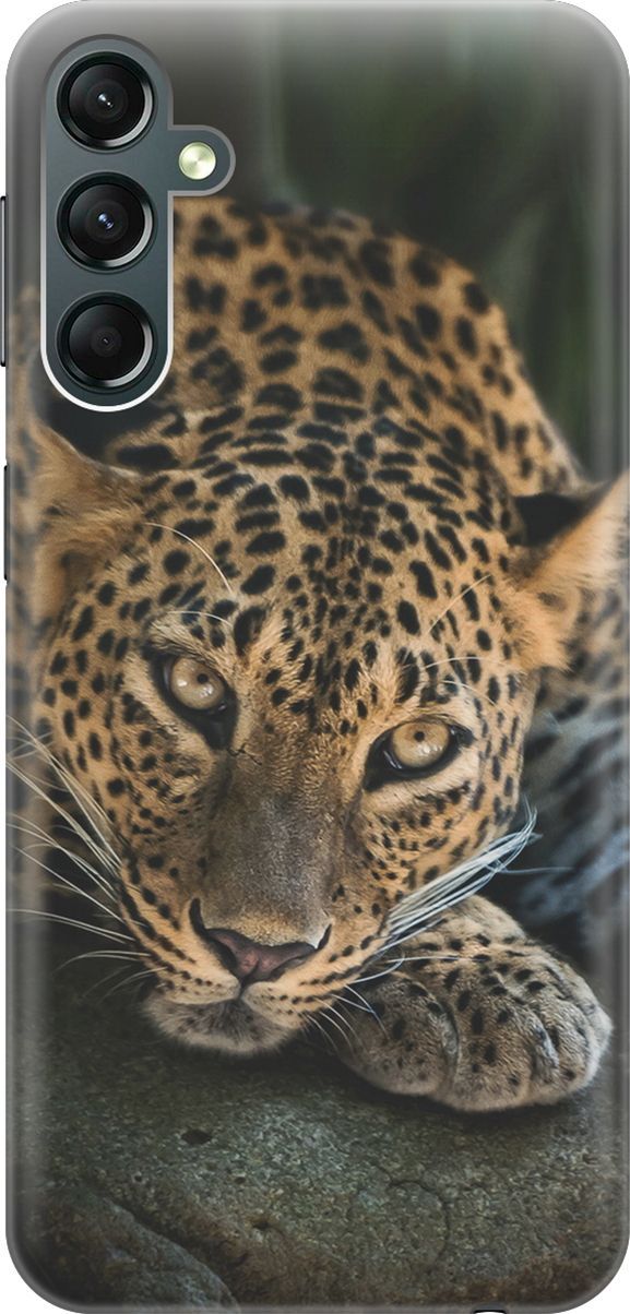 

Силиконовый чехол на Samsung Galaxy A24 с принтом "Загадочный леопард", Коричневый;оранжевый, 159517