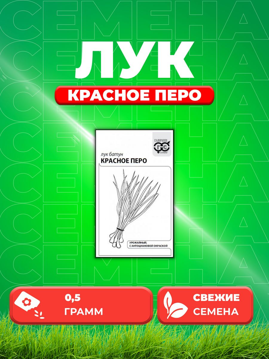 

Семена Лук на зелень Красное перо 0,5 г б/п с евроотв.