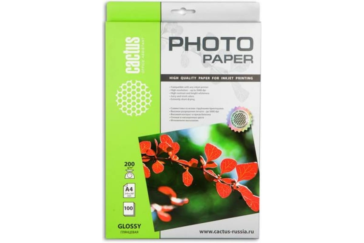 Фотобумага Cactus CS-GA4200100, A4, для струйной печати, 100л, 200г/м2, белый