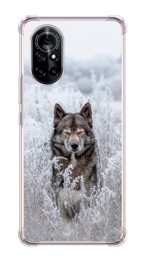 

Чехол Awog на Huawei Nova 8 "Водный дракон", Разноцветный, 6105750-2