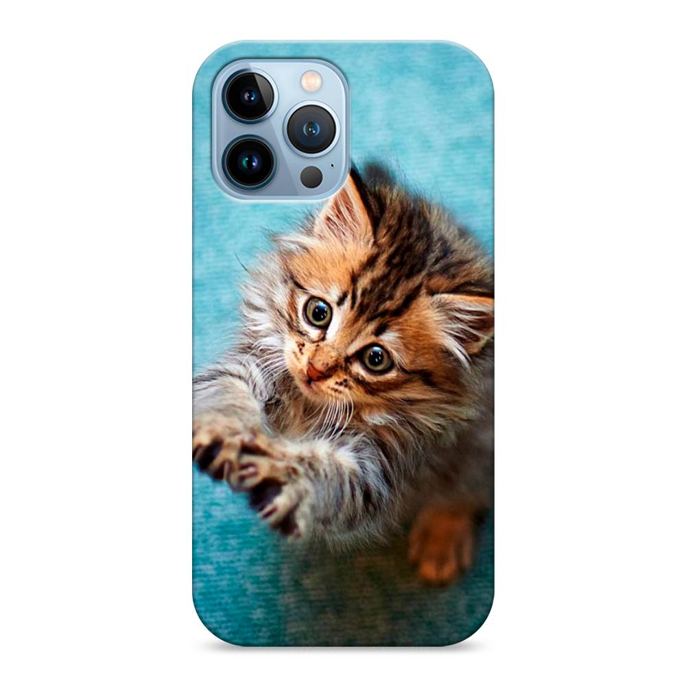 фото Пластиковый чехол "котенок просит есть" на apple iphone 13 pro max awog