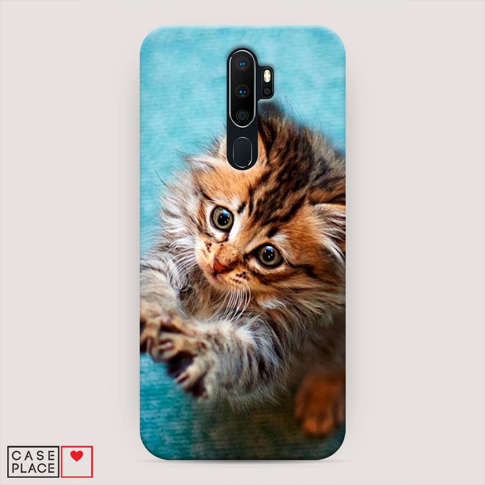 

Пластиковый чехол "Котенок просит есть" на Oppo A5 (2020), 251320-1