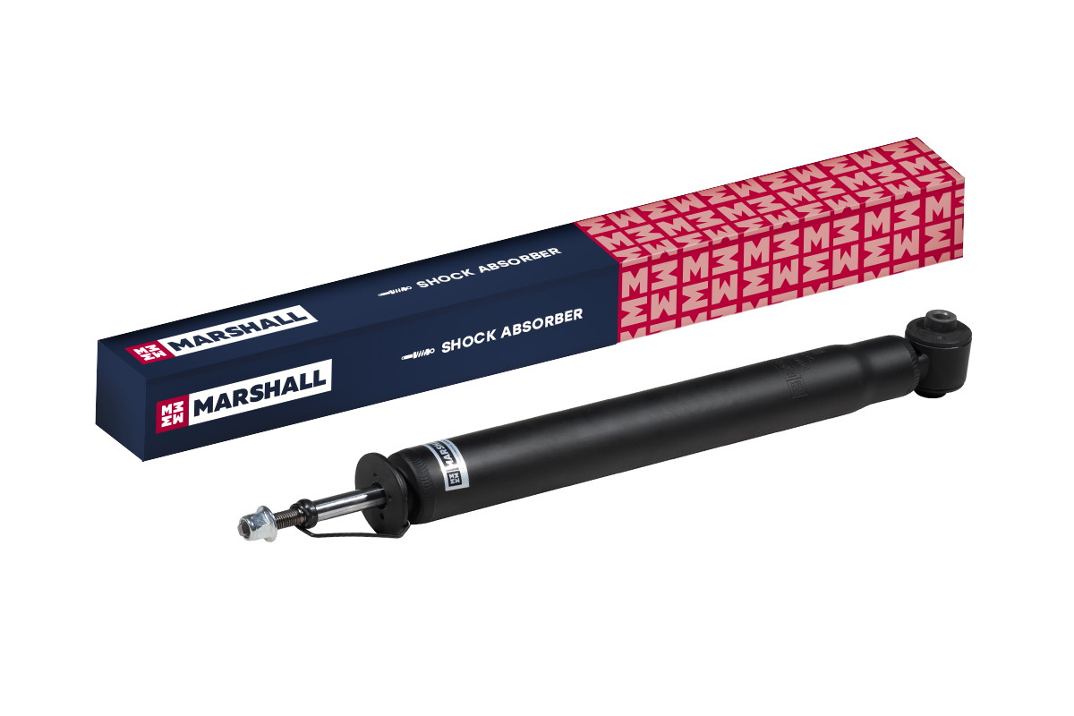 

Амортизатор газовый, задний, для Citroen C4 II 10- Peugeot 307 01- 308 I 07- 408 12-