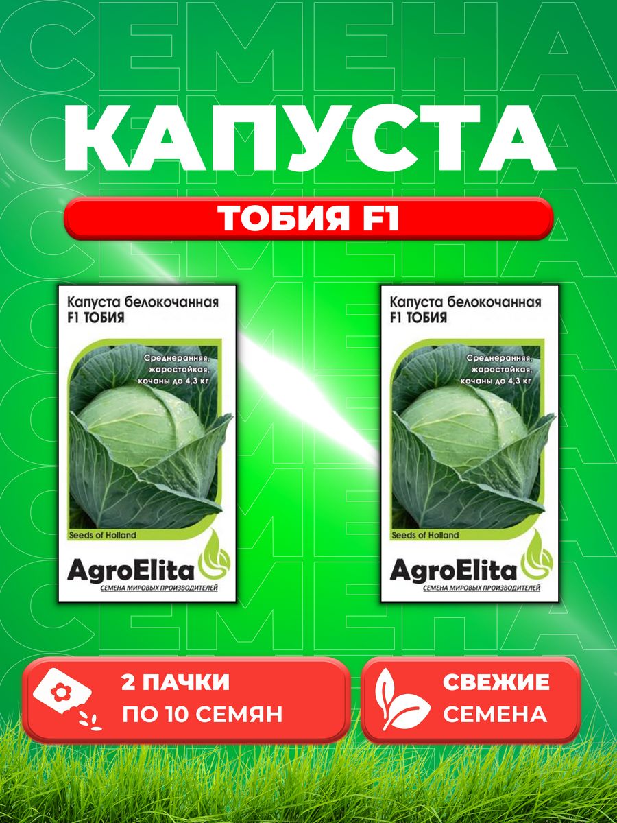 

Семена капуста белокочанная Тобия F1 AgroElita 1026994983-2 2 уп.